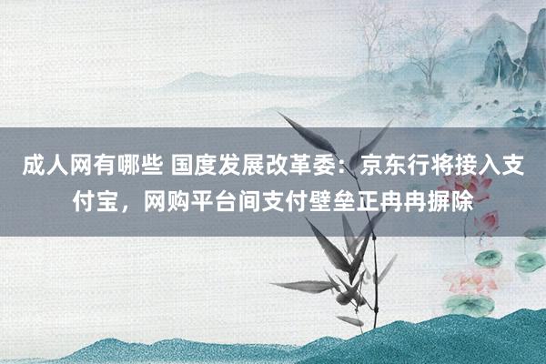 成人网有哪些 国度发展改革委：京东行将接入支付宝，网购平台间支付壁垒正冉冉摒除