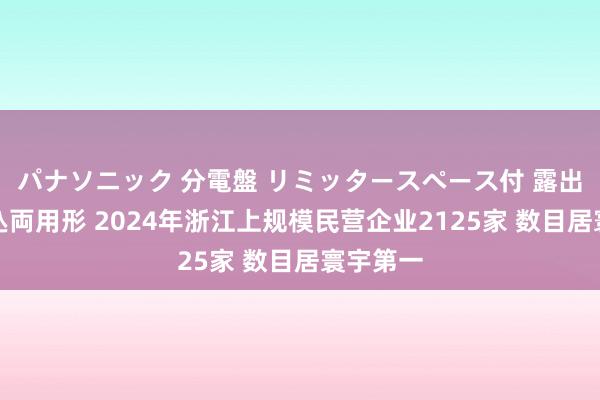 パナソニック 分電盤 リミッタースペース付 露出・半埋込両用形 2024年浙江上规模民营企业2125家 数目居寰宇第一