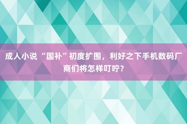 成人小说 “国补”初度扩围，利好之下手机数码厂商们将怎样叮咛？