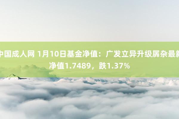 中国成人网 1月10日基金净值：广发立异升级羼杂最新净值1.7489，跌1.37%