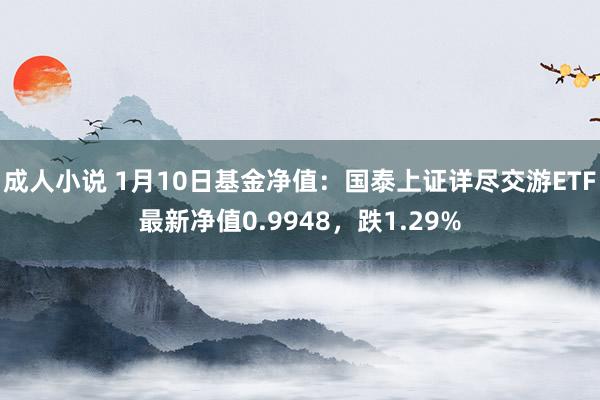 成人小说 1月10日基金净值：国泰上证详尽交游ETF最新净值0.9948，跌1.29%