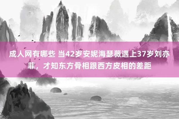 成人网有哪些 当42岁安妮海瑟薇遇上37岁刘亦菲，才知东方骨相跟西方皮相的差距