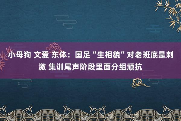 小母狗 文爱 东体：国足“生相貌”对老班底是刺激 集训尾声阶段里面分组顽抗