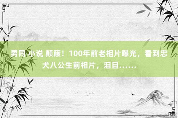 男同 小说 颠簸！100年前老相片曝光，看到忠犬八公生前相片，泪目……