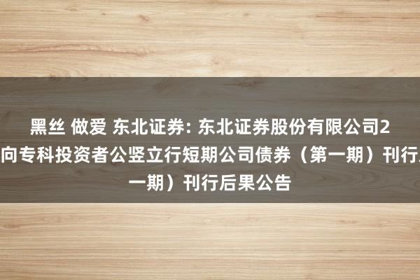 黑丝 做爱 东北证券: 东北证券股份有限公司2025年面向专科投资者公竖立行短期公司债券（第一期）刊行后果公告