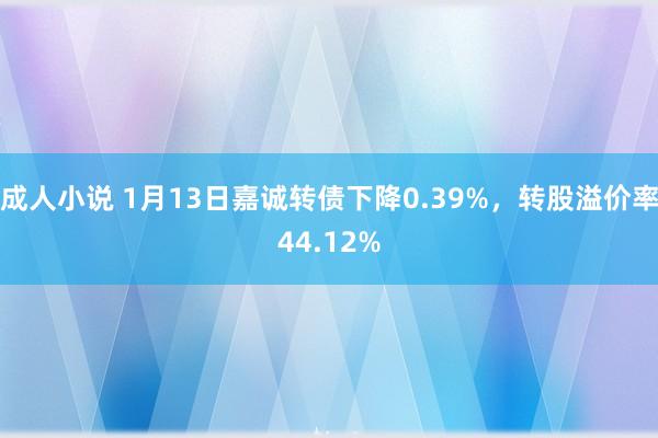 成人小说 1月13日嘉诚转债下降0.39%，转股溢价率44.12%