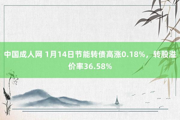 中国成人网 1月14日节能转债高涨0.18%，转股溢价率36.58%