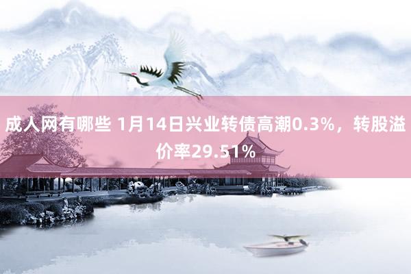 成人网有哪些 1月14日兴业转债高潮0.3%，转股溢价率29.51%