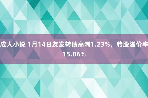 成人小说 1月14日友发转债高潮1.23%，转股溢价率15.06%