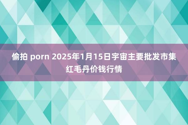 偷拍 porn 2025年1月15日宇宙主要批发市集红毛丹价钱行情