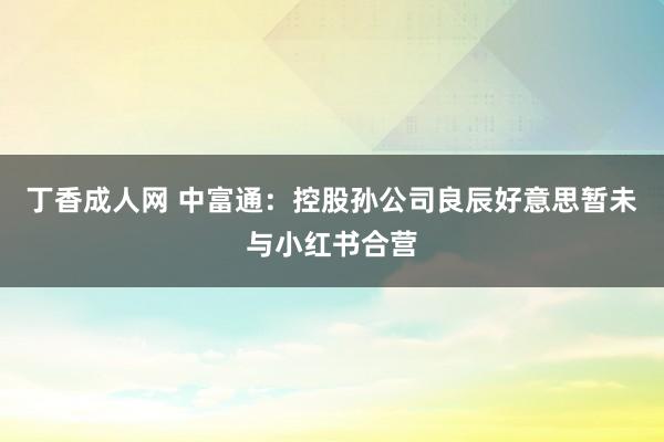 丁香成人网 中富通：控股孙公司良辰好意思暂未与小红书合营