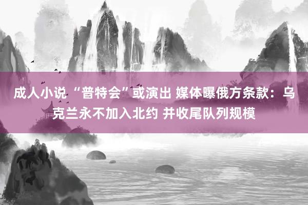 成人小说 “普特会”或演出 媒体曝俄方条款：乌克兰永不加入北约 并收尾队列规模