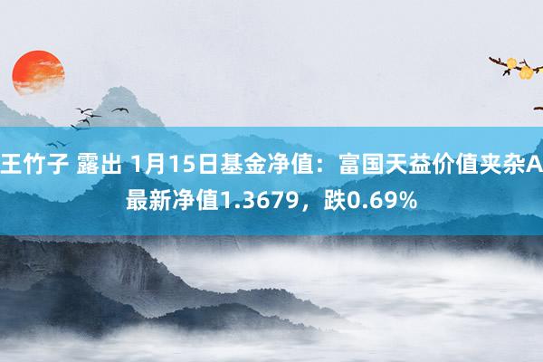 王竹子 露出 1月15日基金净值：富国天益价值夹杂A最新净值1.3679，跌0.69%