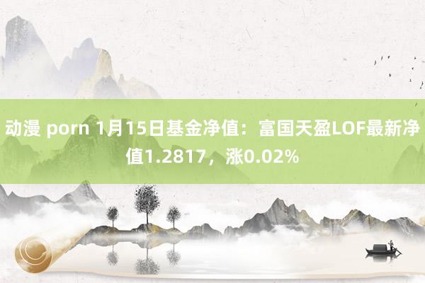 动漫 porn 1月15日基金净值：富国天盈LOF最新净值1.2817，涨0.02%