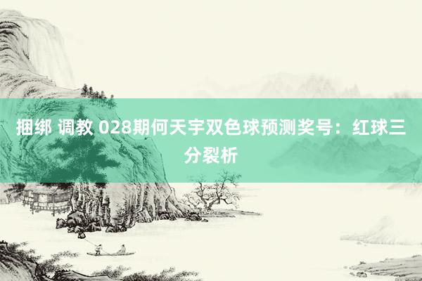 捆绑 调教 028期何天宇双色球预测奖号：红球三分裂析