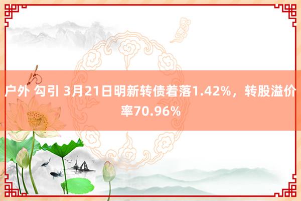 户外 勾引 3月21日明新转债着落1.42%，转股溢价率70.96%